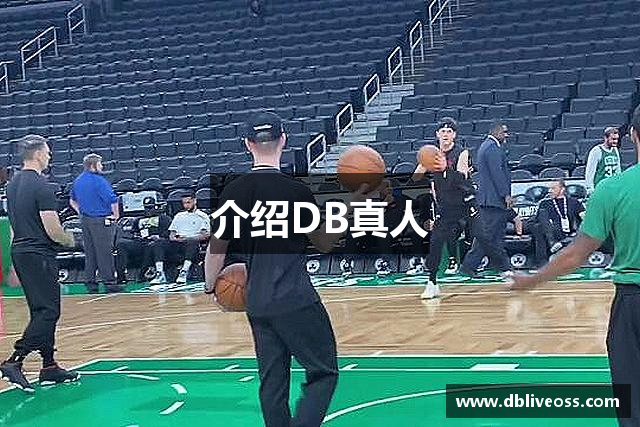 介绍DB真人